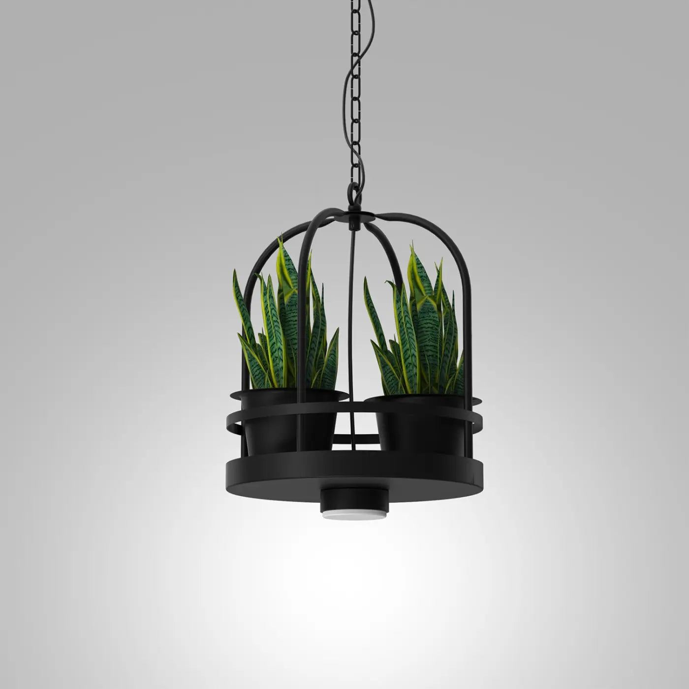 B-Ware Luminex Pendelleuchte Hängelampe Zona Rund Schwarz Ablage Pflanze Stahl Gx53 Led - 5907565971392