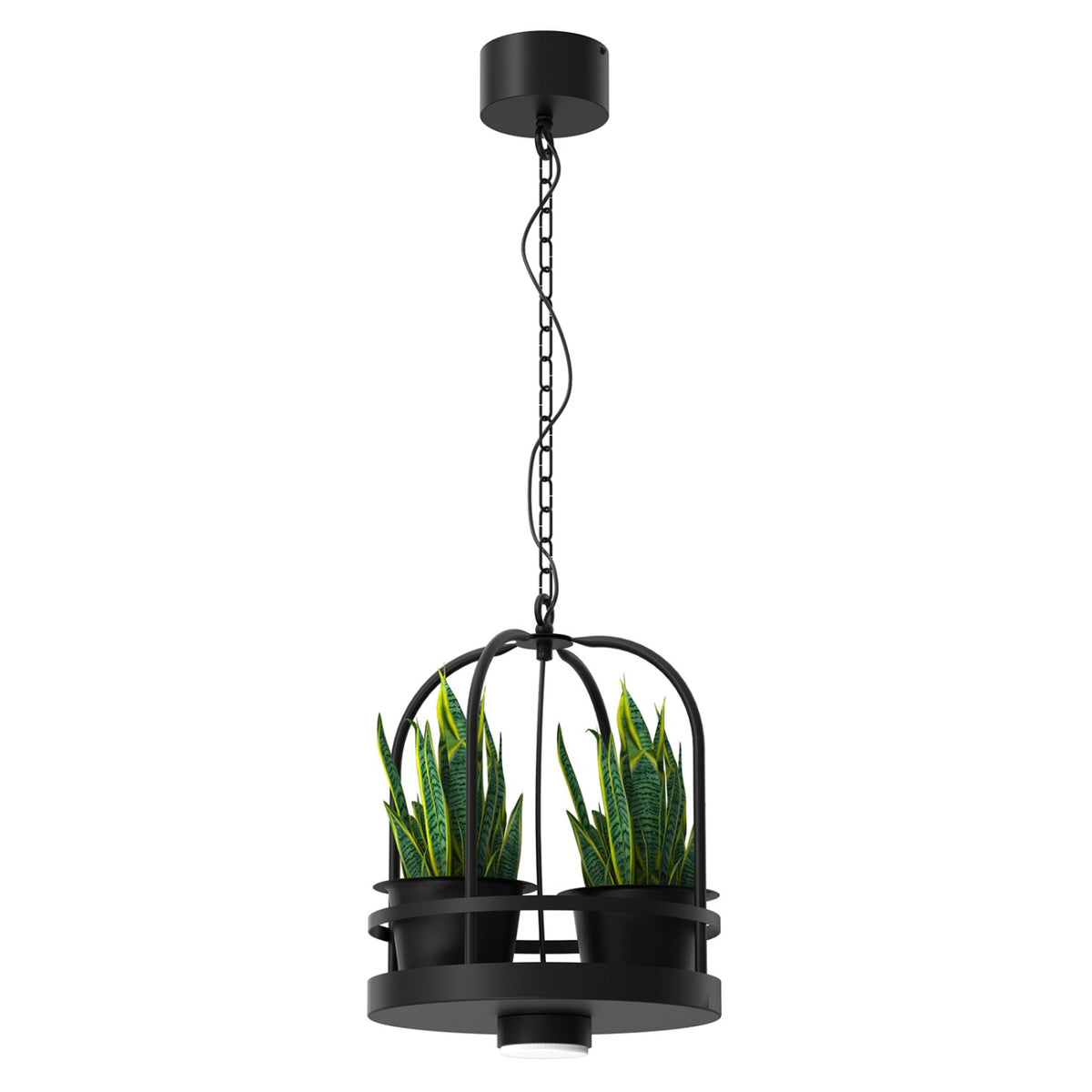 Luminex Pendelleuchte Hängelampe ZONA rund Schwarz Ablage Pflanze Stahl GX53 LED - 5907565971392