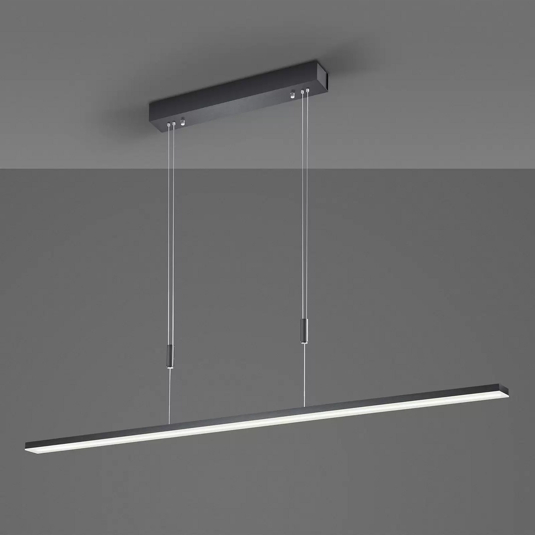Bopp Baseline Led Hängeleuchte Schwarz Deckenlampe Lampe Deckenleuchte Spot B-Ware - 4011895504630