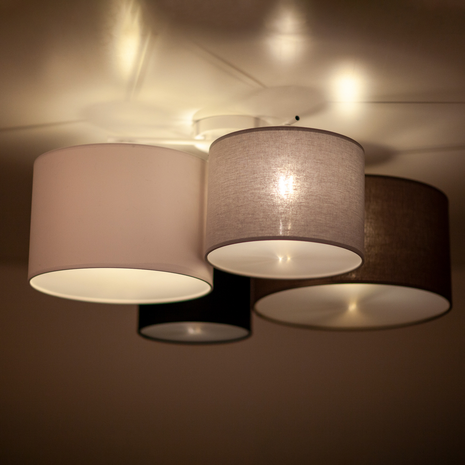 Euluna Lodge Deckenleuchte Multicolour Deckenlampe Lampe Leuchte Spot Licht B-Ware - 5905317601887