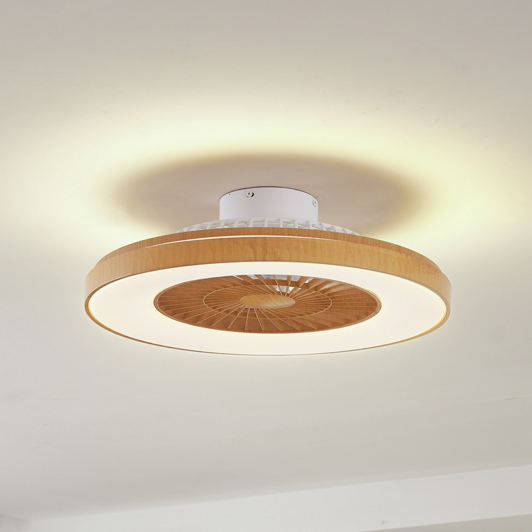 Lindby Led Deckenventilator Teleo Deckenventilator Venti Holzfarben Dc Leise Cct B-Ware