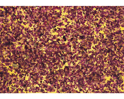 B-Ware Natürliche Rosenblätter Transparenter Selbstklebefolie 4er Klebefolie 5 Stück