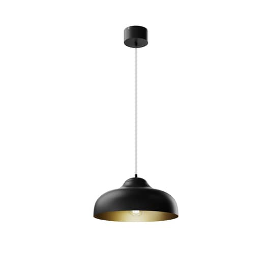 Euluna Hängeleuchte Basca Deckenlampe Pendelleuchte Außen Schwarz Innen Kupfer B-Ware - 5907565915396