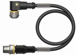 Turck 6626022 Sensor-/Aktor-Steckverbinder konfektioniert 0.30 m Polzahl: 4 1 St