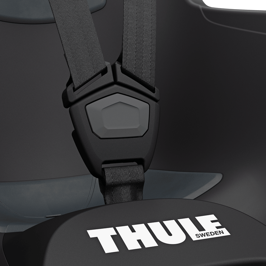 B-Ware Thule Ride Along Lite 2 Dark Grey Kinderfahrradsitz Fahrradsitz Kindersitz Rad628