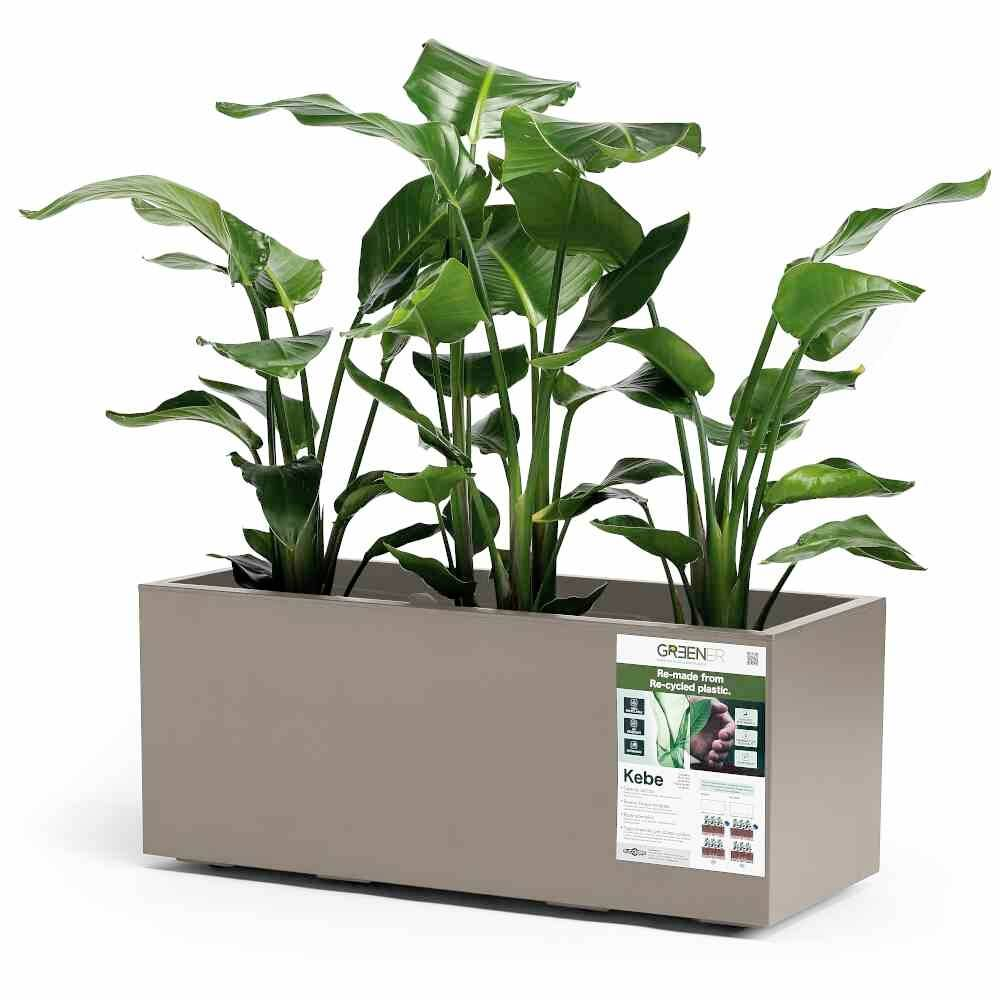 Euro3plast Greener Kebe 3154.G9 Pflanzkasten Kunststoff Taupe Blumentopf Blumen B-Ware
