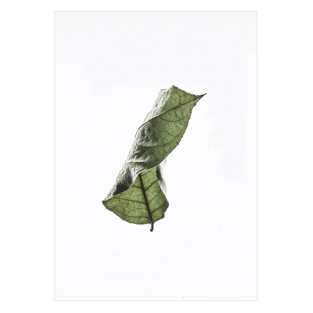 Moebe Floating Leaves Druck No. 04 A2 Wandbild Dekobild Bild Poster Kunst grün