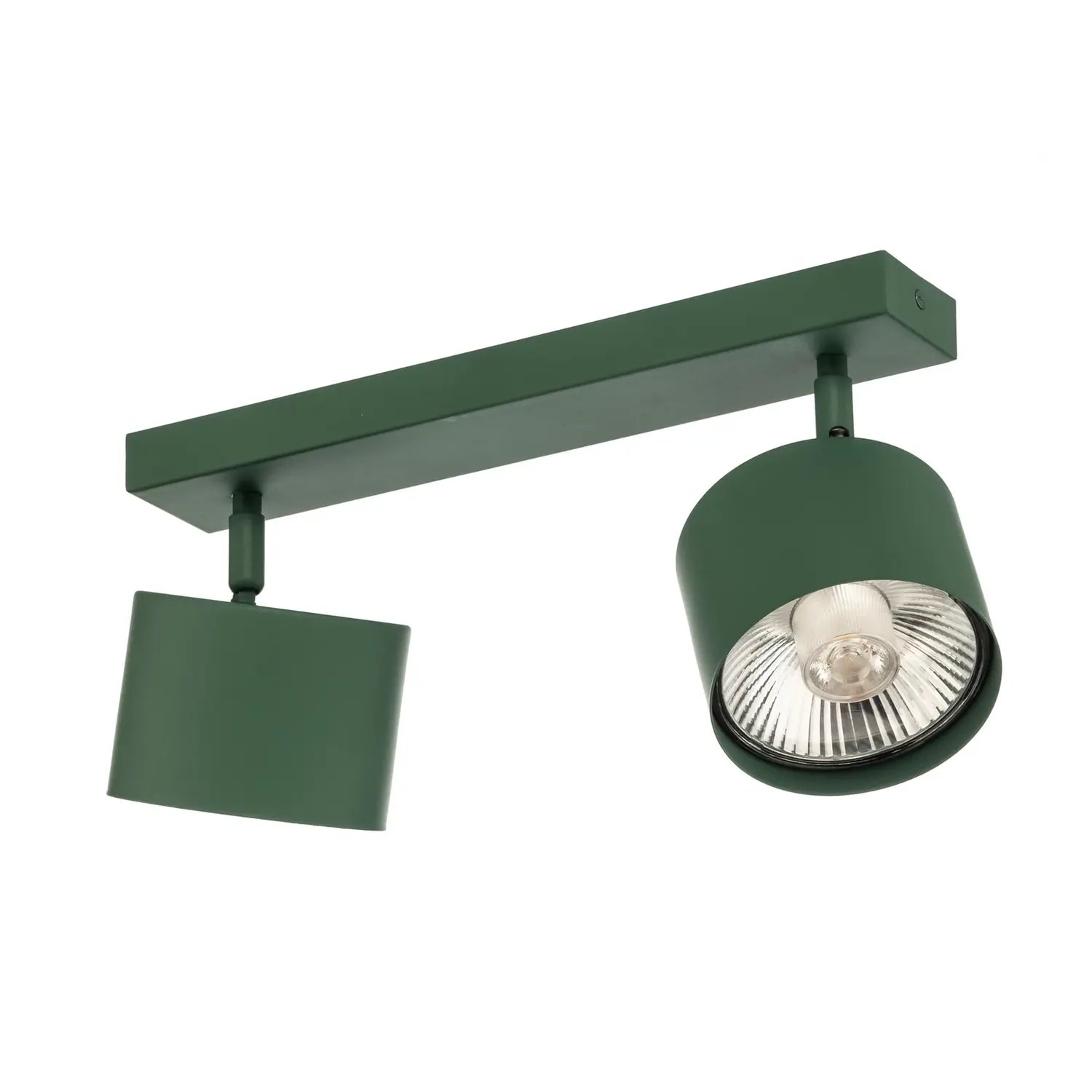 B-Ware Argon Deckenspot Deckenstrahler Chloe Leuchte Verstellbar Zweiflammig Grün Stahl - 7902353235012