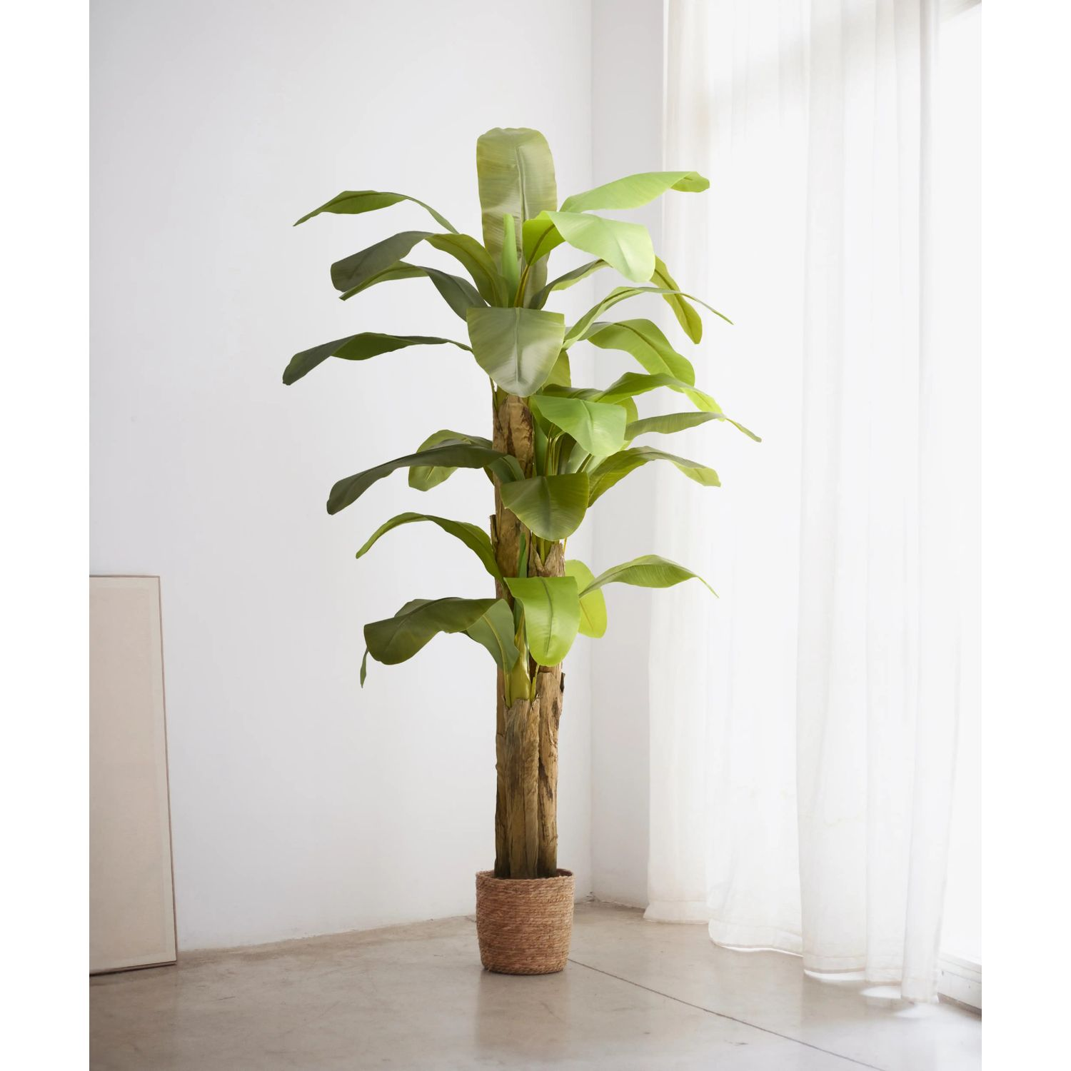 Maia Shop Bananenbaum Kunstpflanze Dekobaum Kunstbanane Tropische Dekoration B-Ware - 8435240502007