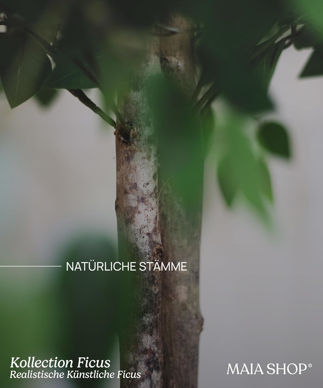 Maia Shop Ficus Kunstpflanzen Künstlicher Baum Kunstpflanze Mit Topf 190x100 Cm B-Ware - 8435240503905