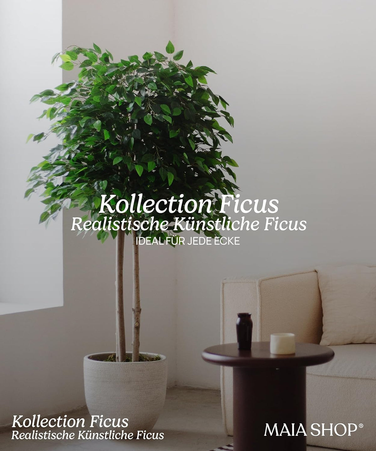 Maia Shop Ficus Kunstpflanzen Künstlicher Baum Kunstpflanze mit Topf 190x100 cm - 8435240503905