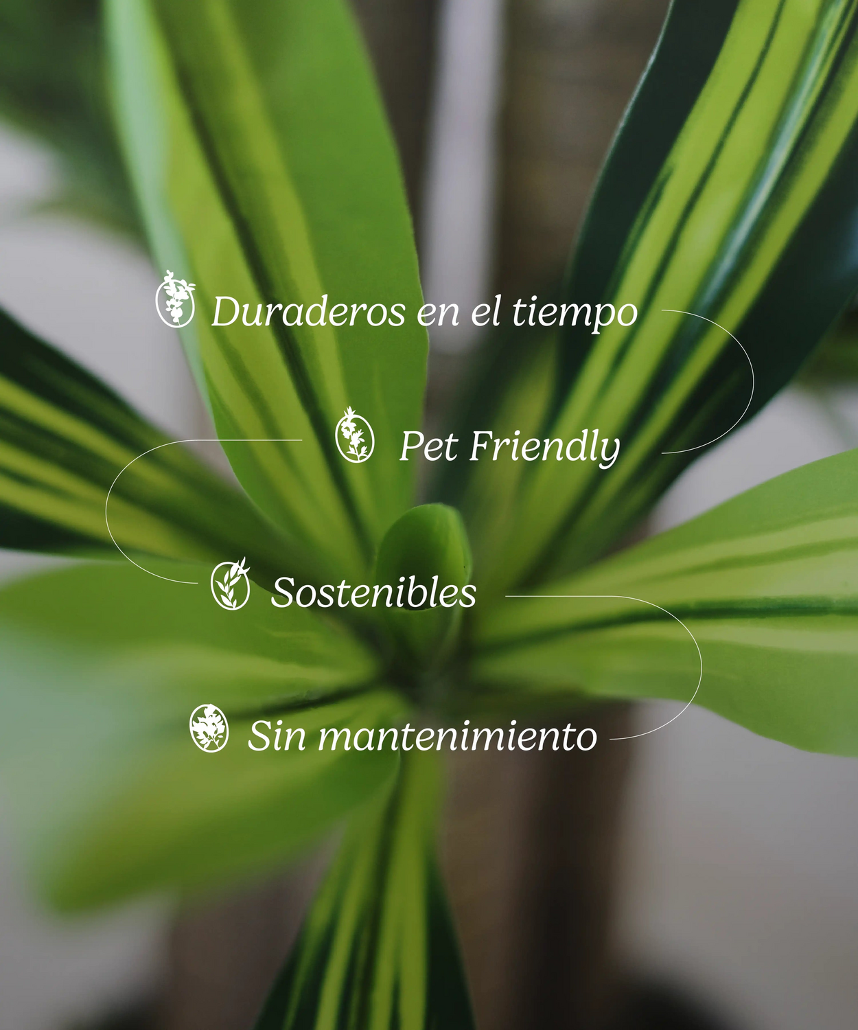 Maiashop Künstliche Dracaena Kunstpflanze Baum 130 Cm Dekoration Wohnzimmer B-Ware