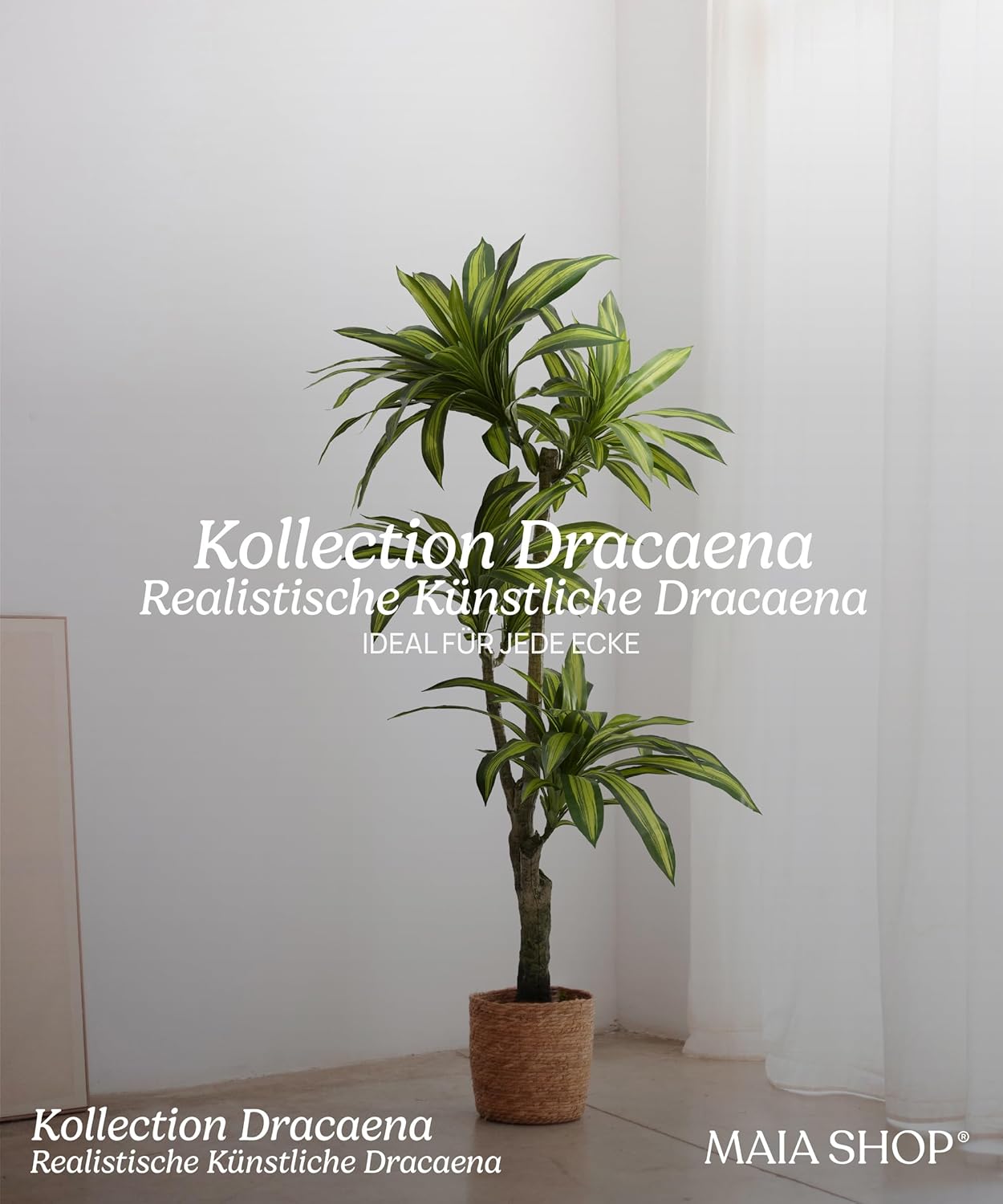 Maia Shop Drachenbaum Kunstseidenpflanze Tropische Heimdekoration 170 x 90 cm - 8435240504261