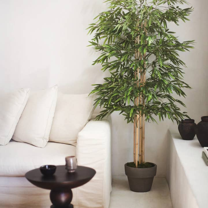 Maia Shop Künstlicher Bambus Kunstpflanze Bambusbaum 180 Cm Dekoration Pflanze B-Ware - 8435240993140