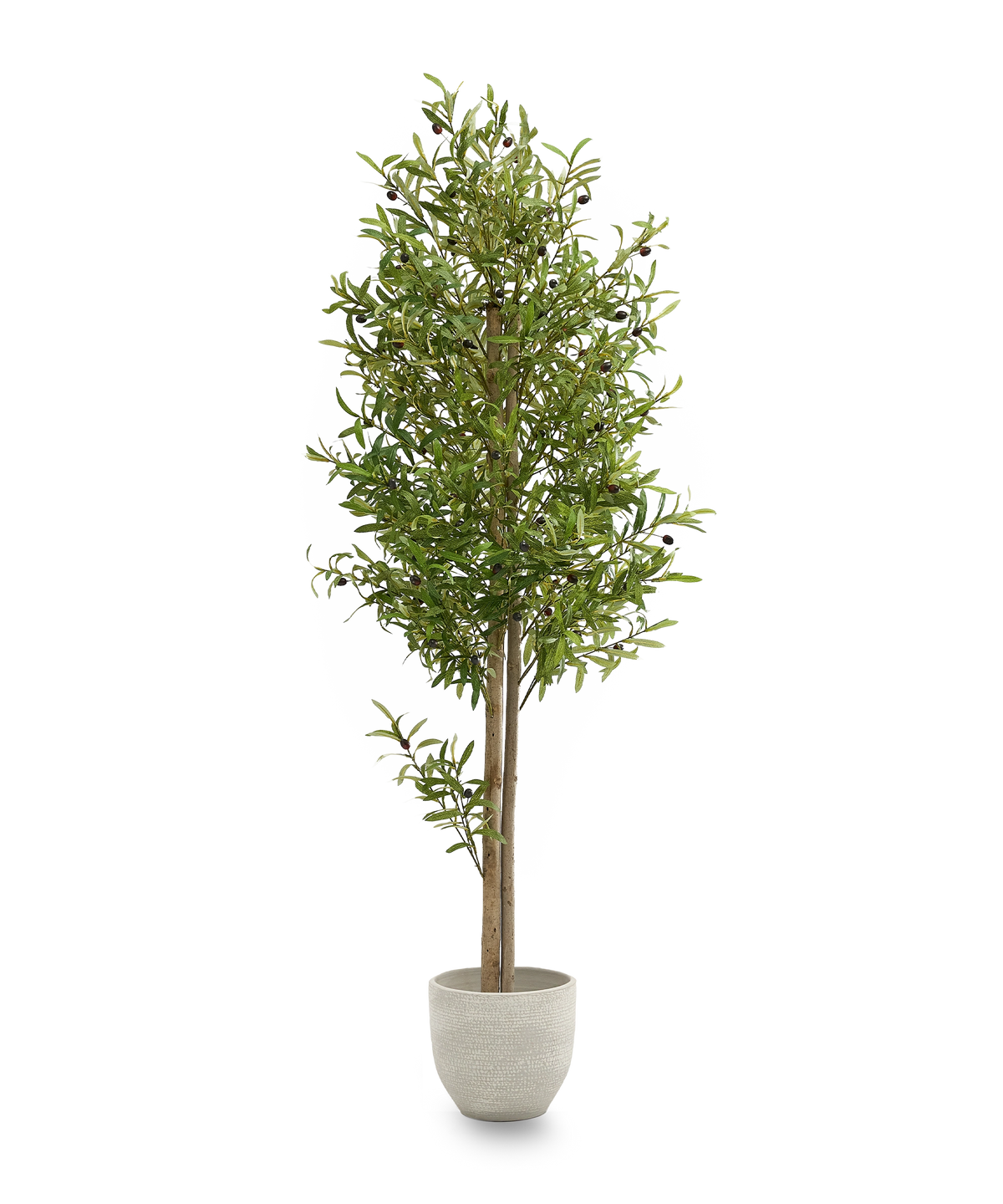 Maia Shop Künstlicher Olivenbaum Kunstpflanze Baum 180 cm Naturholzstamm Oliven - 8435240999050