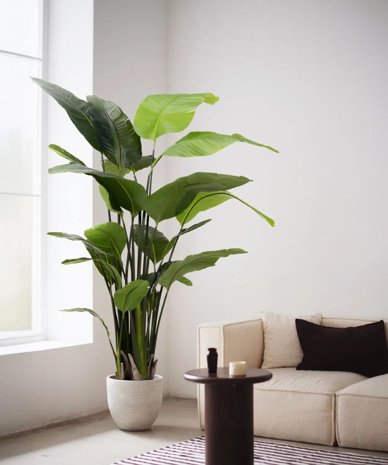 B-Ware Maia Shop Kunstpflanze Paradiesvogelpflanze Strelitzie Strelitzia 210 Cm Pflanze