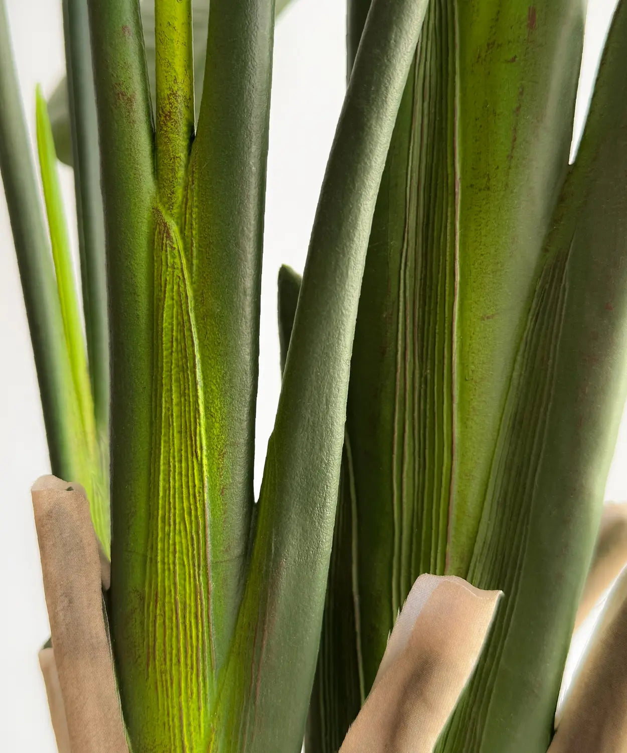 B-Ware Maia Shop Kunstpflanze Paradiesvogelpflanze Strelitzie Strelitzia 210 Cm Pflanze