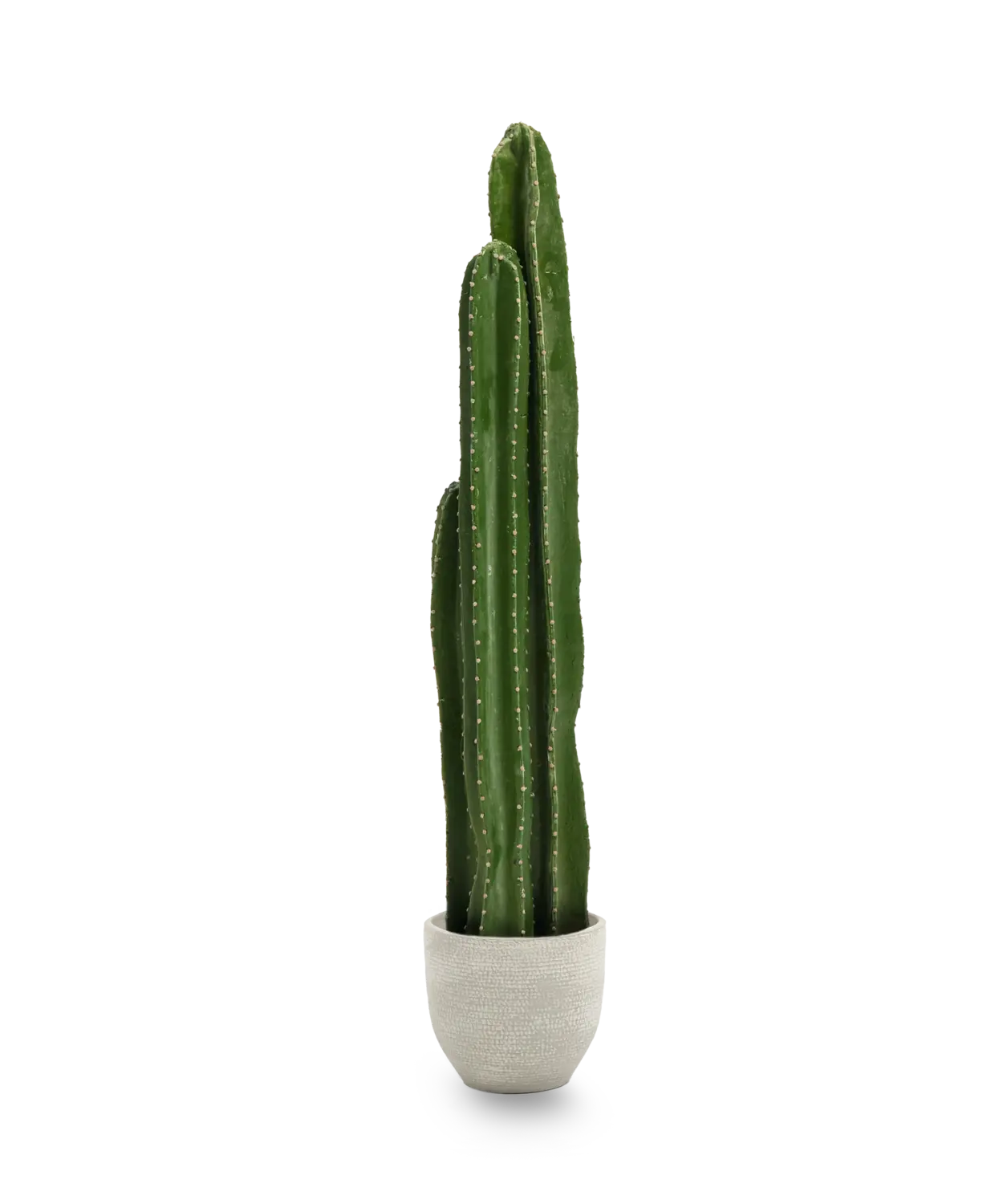 Maia Shop Künstlicher Kaktus Kunstpflanze Kaktus 100cm Dekoration Pflanze Grün B-Ware