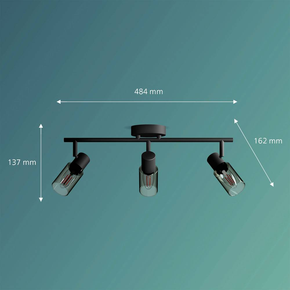 B-Ware Philips Palms 8720169299313 Deckenstrahler Leuchte E14 Schwarz Lampengehäuse