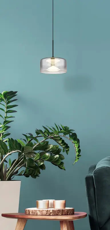 B-Ware Globo Pendelleuchte Hängeleuchte Led Belinda Rauchglas Eisen Schwarz ø 15 Cm - 9007371522309