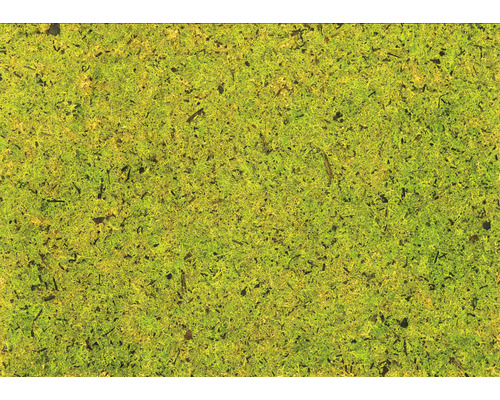 5x 4er Pack Natürliches Moos Transparenter Selbstklebefolie Din A4 Folie B-Ware - 9120074680371