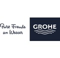 GROHE Küchenarmatur Wasserhahn Spültischarmatur MINTA Chrom mit Handbrause - 4005176824425