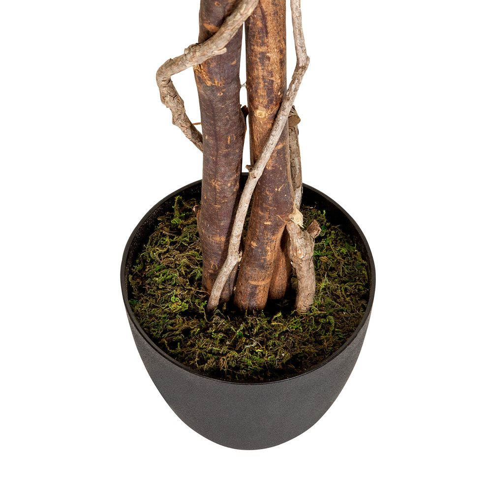 Hjh Office Kunstpflanze Kunstbaum Ficus Kunststoffpflanze Kunststoff Grün B-Ware - 4251084696948