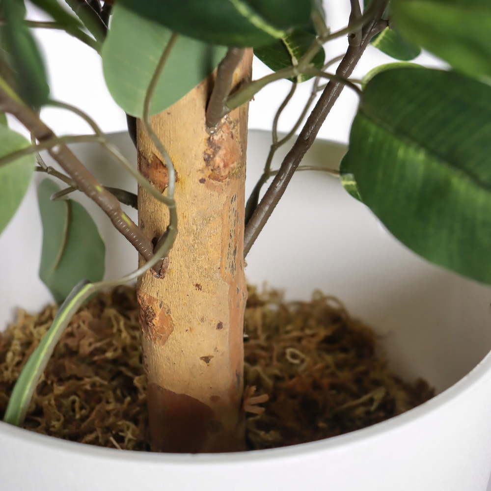 B-Ware Hjh Office Kunstpflanze Kunstbaum Ficus Ii Kunst Pflanze Dekopflanze 65 Cm Grün