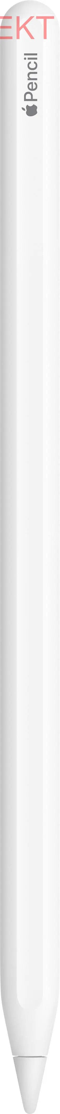 D-Ware Apple Pencil 2. Generation Touchpen Mit Druckempfindlich Weiß Defektware - 190198893376