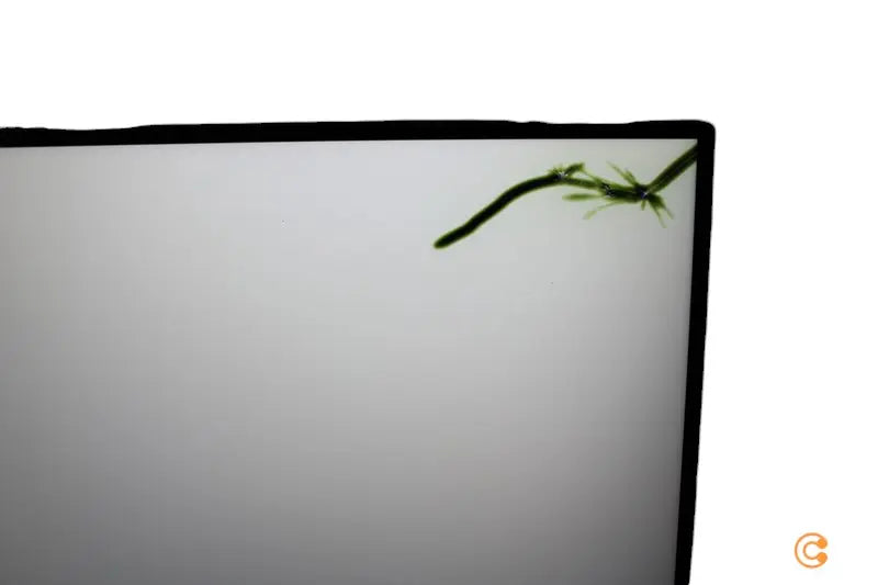 C-Ware Asus Tuf Gaming Vg328 H1 B 80.1cm 16:9 Fhd Hdmi Bildschirm Gaming Siehe Text/Foto - 4718017625999