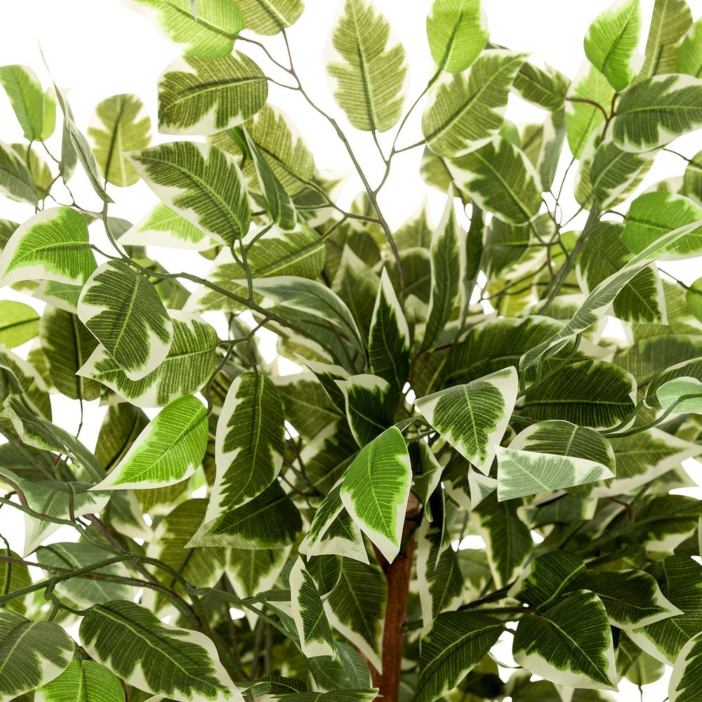 Hjh Office Kunstpflanze Kunstbaum Ficus Kunststoffpflanze Kunststoff Grün B-Ware - 4251084696948