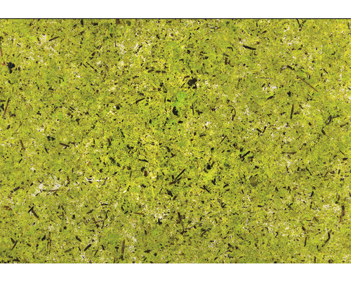 5x 4er Pack Natürliches Moos Transparenter Selbstklebefolie Din A4 Folie B-Ware - 9120074680371