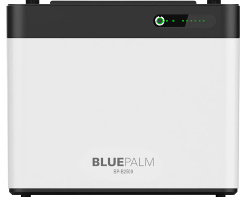 Bluepalm Bp B2500 Balkonkraftwerkspeicher 2240 Wh Li Fe Po4 Akku 2 X 500 Watt B-Ware