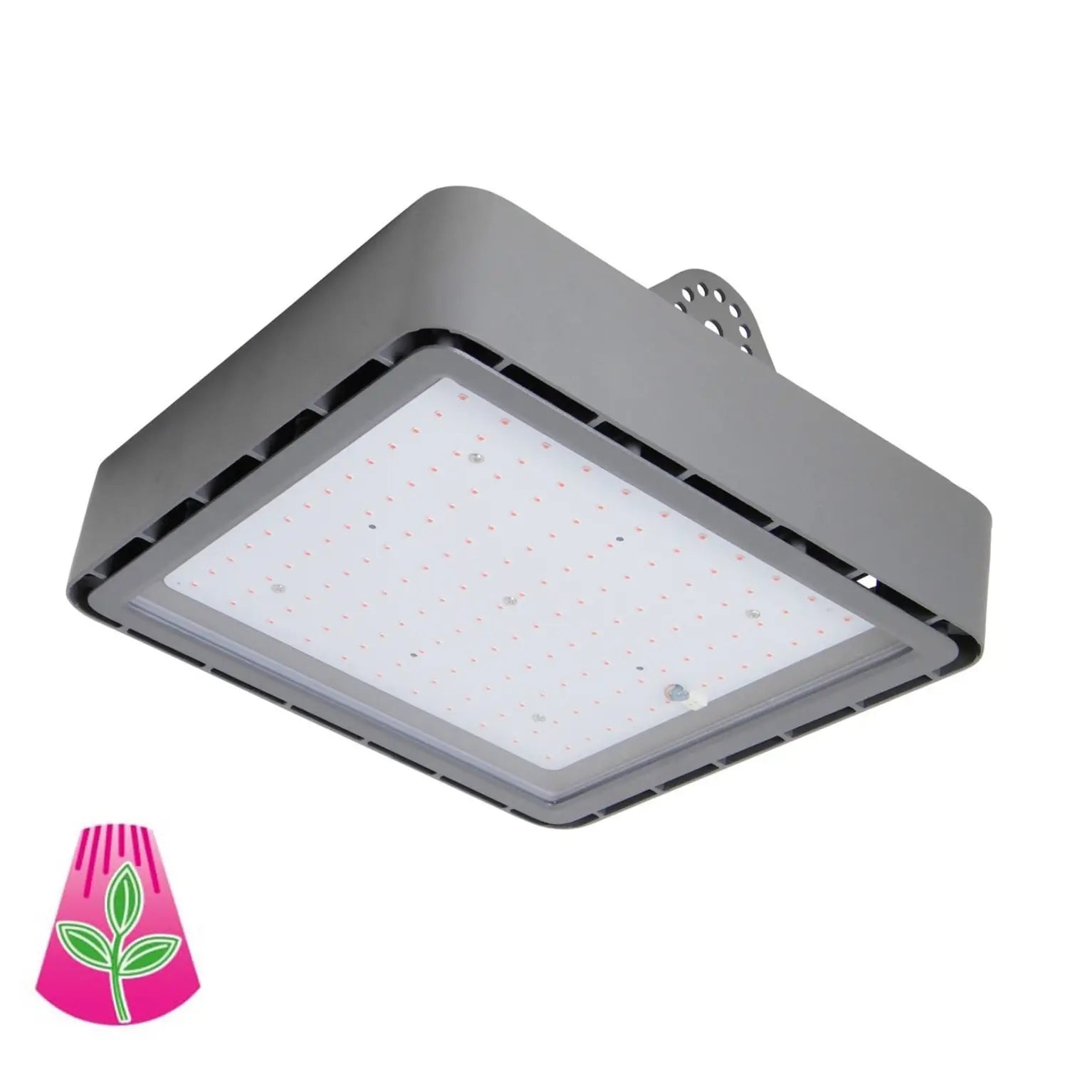 B-Ware Bioledex Pflanzenlampe Leuchte Go Leaf X1 S3 Rot Blau Photosynthese Licht - 4260510482260