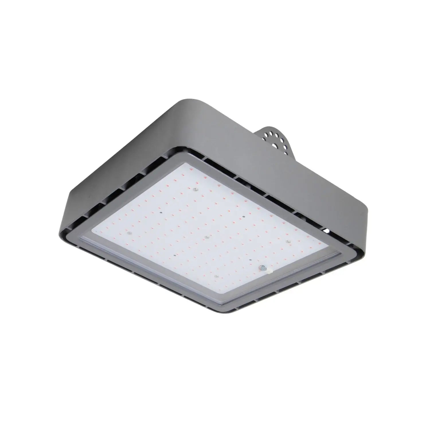 B-Ware Bioledex Pflanzenlampe Leuchte Go Leaf X1 S3 Rot Blau Photosynthese Licht - 4260510482260