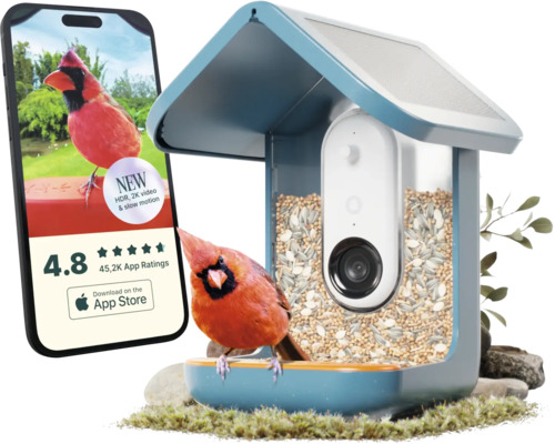 B-Ware Birdbuddy Smart Futterstation Vogelfutterautomat Vogelhaus Kamera Wlan Outdoor   - 850035422441