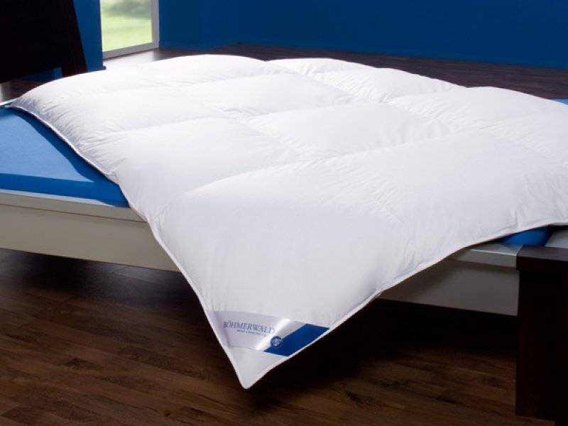 Böhmerwald Daunen Klassik Kassettenbett Normal Übergangsdecke Bettdecke 155x220 - 4041134012947