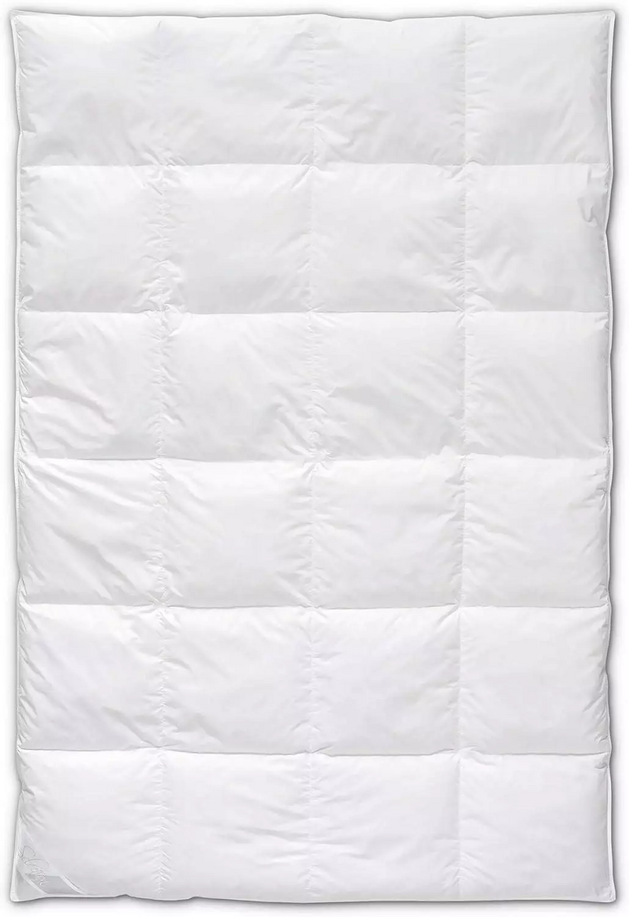 Böhmerwald Dauneneinziehdecke Bettdecke Daunen 200x200cm Allergikergeeignet  B-Ware - 4041134280124