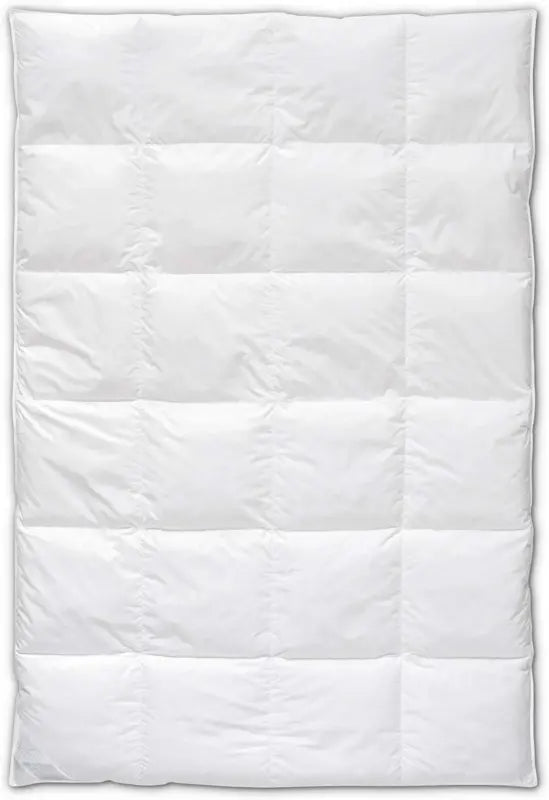 B-Ware Böhmerwald Selection Dauneneinziehdecke Bettdecke Allergikergeeignet 200x200 Cm - 4041134280155