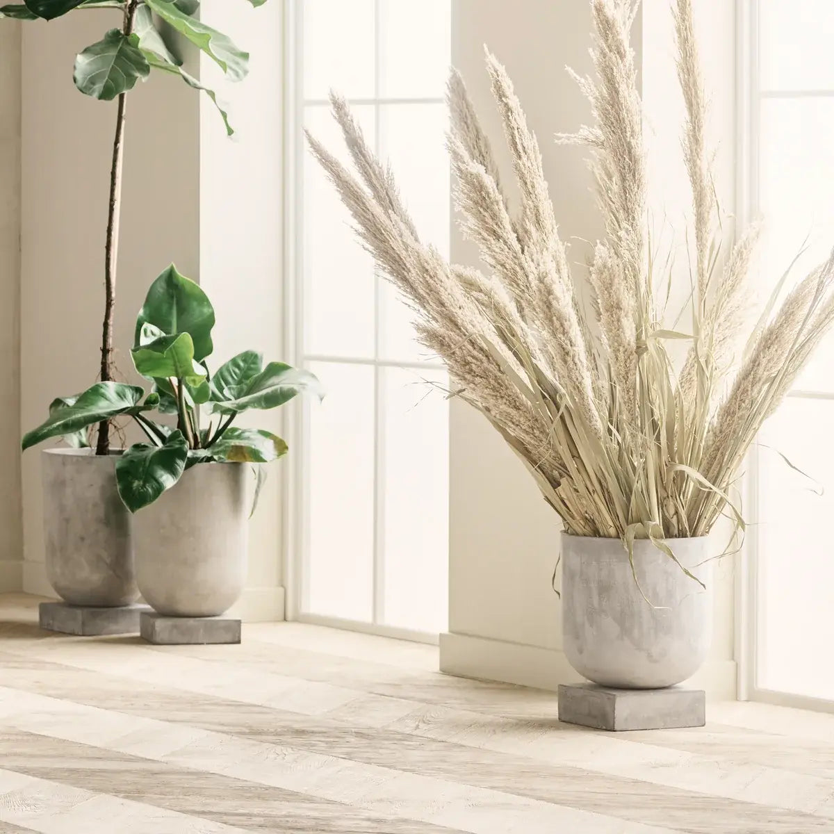 B-Ware Bolia Blumentopf Pflanzgefäß Podium Beton Grau 36x30.5cm Zimmerpflanzen - 5704444079091