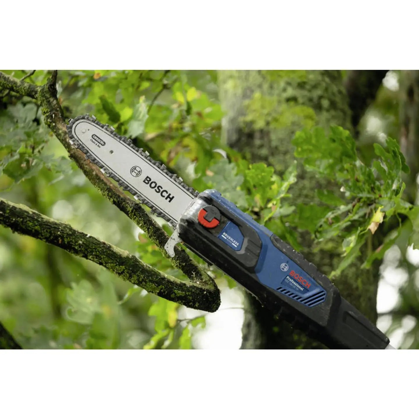 B-Ware Bosch Professional Akku Hochentaster Baumschneider Gke 18 V 25 Tp Ohne Akku - 4059952688305