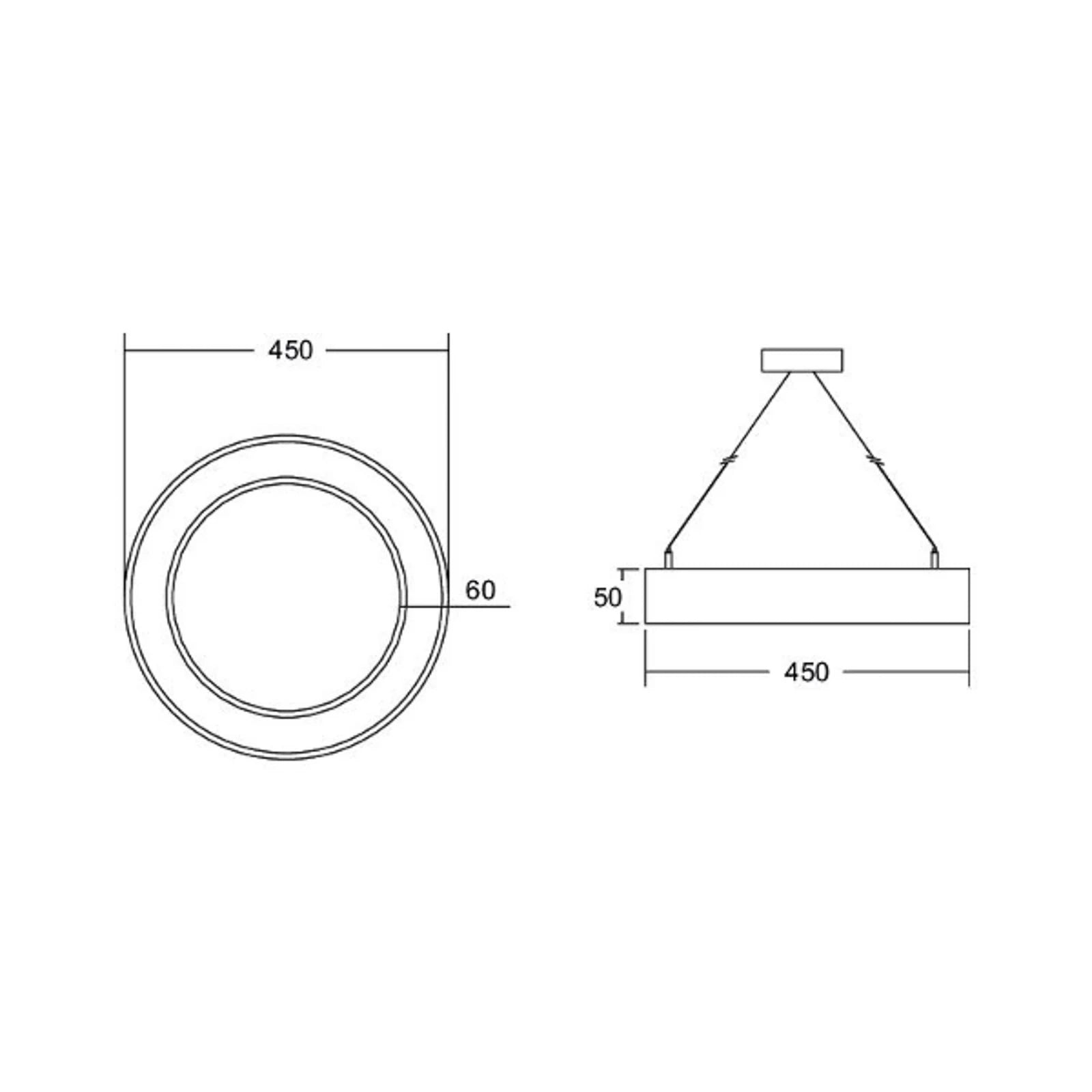 BRUMBERG Pendelleuchte Hängelampe Biro Circle Ring5 LED schwarz Aluminium 45cm - 4251433969181