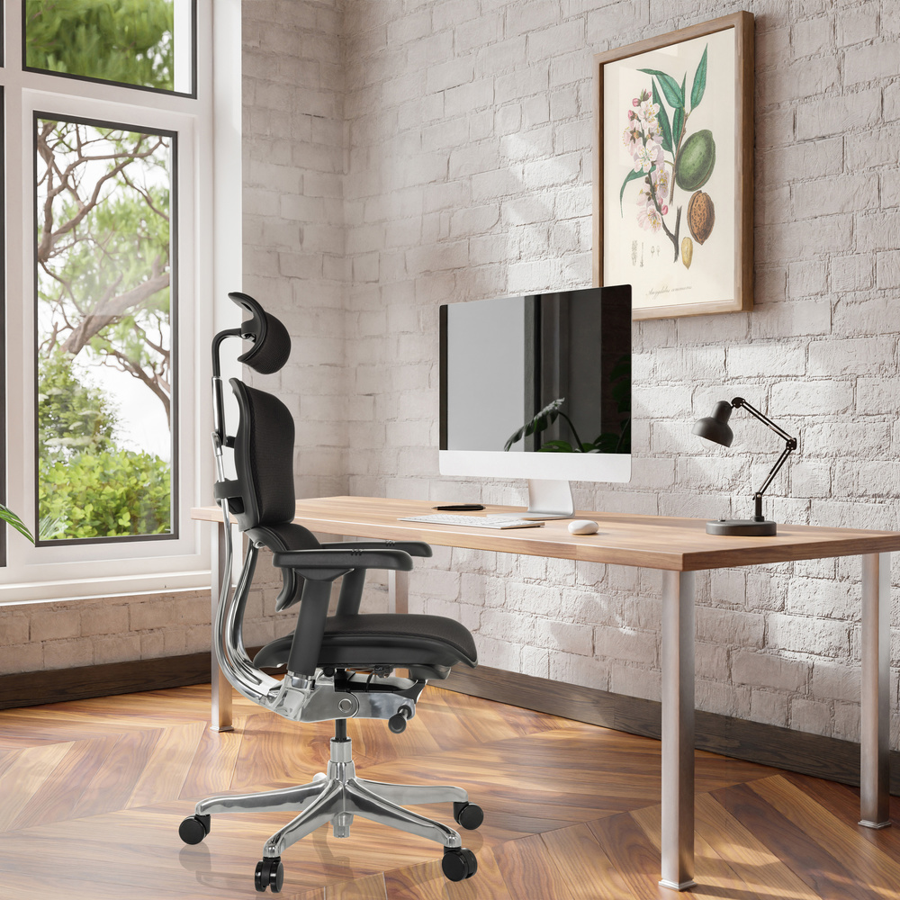 Hjh Office Gmb H Bürodrehstuhl Stuhl Ergohuman Gen2 Schwarz Armlehnen 150kg B-Ware - 4064323037675