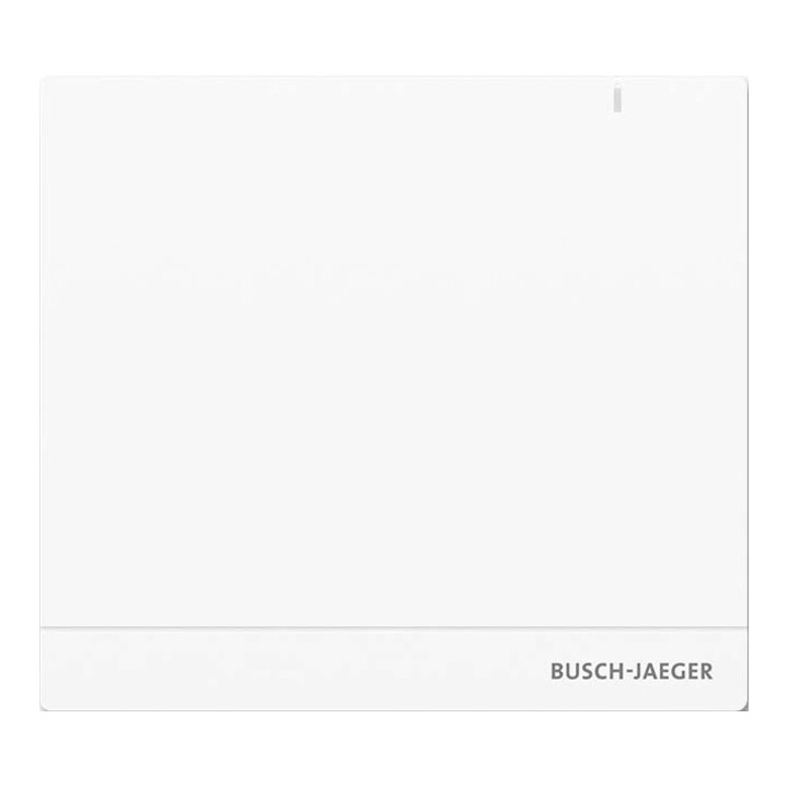 Busch Jaeger System Access Point Steuergerät Wireless Sap/S13 Netzwerkmodul  B-Ware - 4011395261569