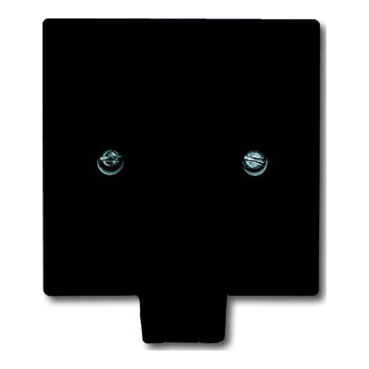 B-Ware Busch Jaeger Zentralscheibe Abdeckung Leitungsauslass Anthrazit Thermoplast - 4011395874608