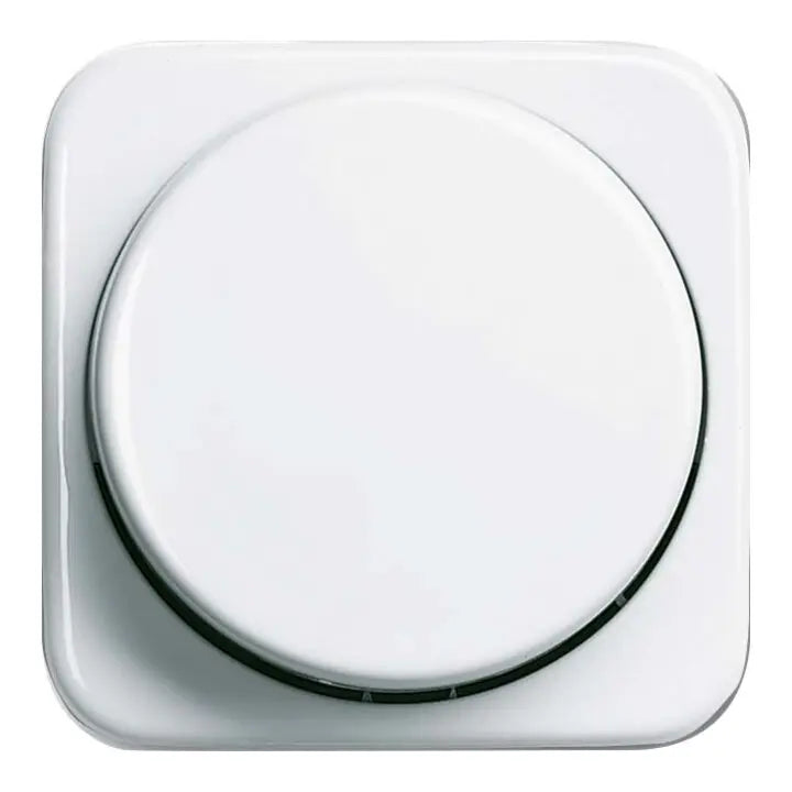 B-Ware Busch Jaeger Zentralscheibe Abdeckung Drehdimmer Einsatz Ersatzteil Alpinweiß - 4011395375600