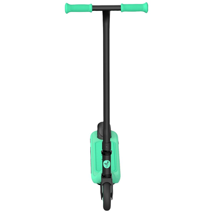 Segway Ninebot Zing A6 E Scooter Elektroscooter E Roller Elektroroller Roller B-Ware - 8720254405193