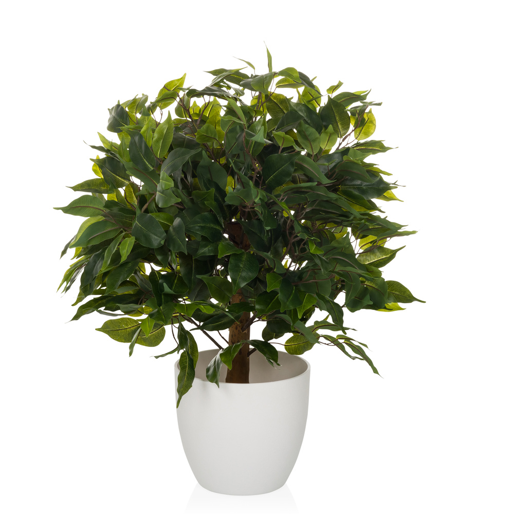 B-Ware Hjh Office Kunstpflanze Kunstbaum Ficus Ii Kunst Pflanze Dekopflanze 65 Cm Grün