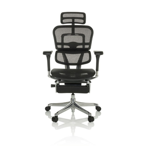 B-Ware Hjh Office Ergohuman Plus Legpro I Netz Luxus Chefsessel Bürostuhl Drehstuhl