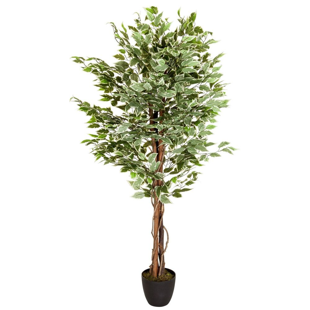 Hjh Office Kunstpflanze Kunstbaum Ficus Kunststoffpflanze Kunststoff Grün B-Ware - 4251084696948